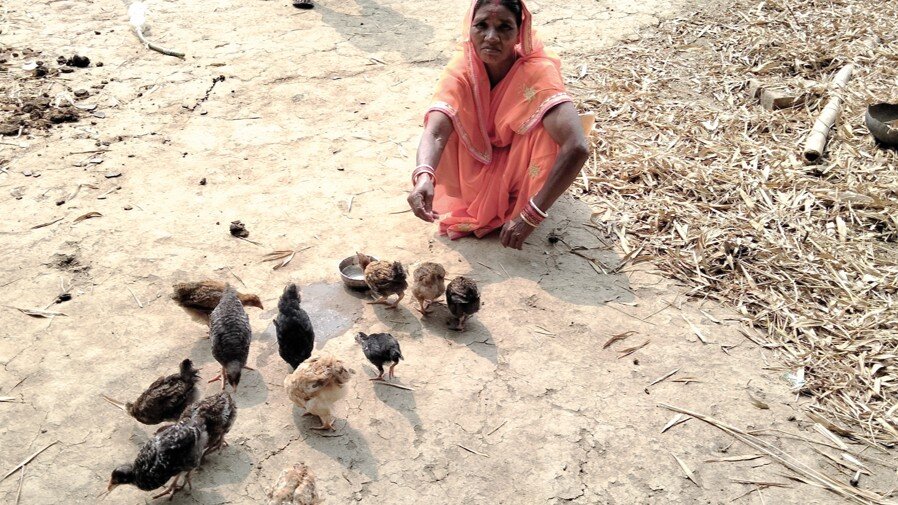 Neue Projekte des Elisabethenwerks